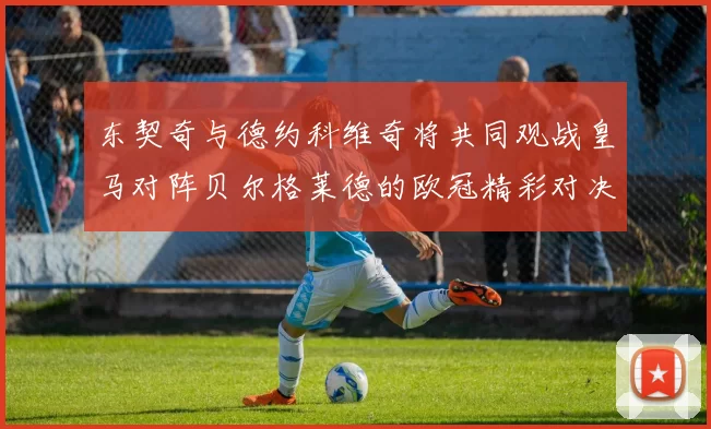 东契奇与德约科维奇将共同观战皇马对阵贝尔格莱德的欧冠精彩对决